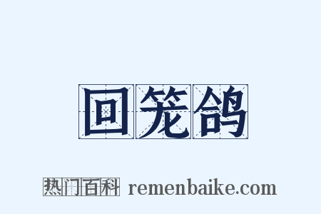 回笼鸽是什么意思的图片